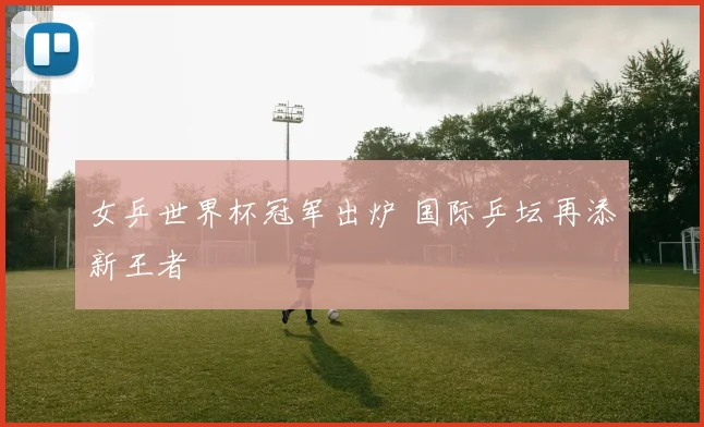 女乒世界杯冠军出炉 国际乒坛再添新王者