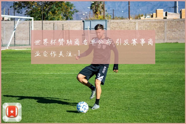 世界杯赞助商名单公布 引发赛事商业合作关注_1