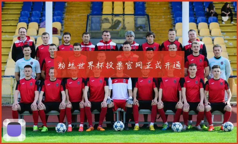 粉丝世界杯投票官网正式开通