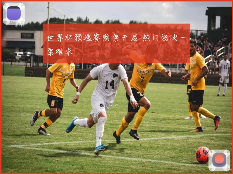 世界杯预选赛购票开启 热门场次一票难求